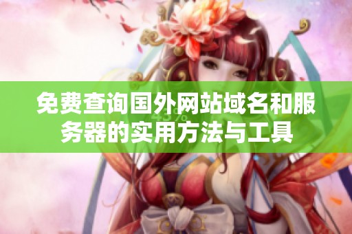 免费查询国外网站域名和服务器的实用方法与工具
