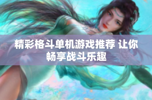 精彩格斗单机游戏推荐 让你畅享战斗乐趣