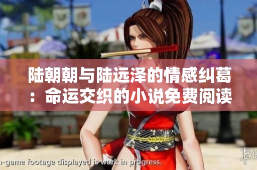 陆朝朝与陆远泽的情感纠葛：命运交织的小说免费阅读》