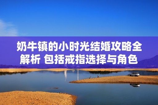 奶牛镇的小时光结婚攻略全解析 包括戒指选择与角色攻略