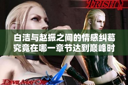 白洁与赵振之间的情感纠葛究竟在哪一章节达到巅峰时刻