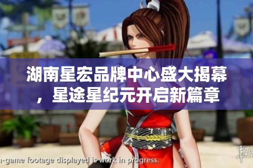 湖南星宏品牌中心盛大揭幕，星途星纪元开启新篇章