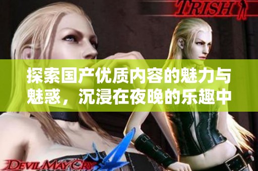 探索国产优质内容的魅力与魅惑，沉浸在夜晚的乐趣中