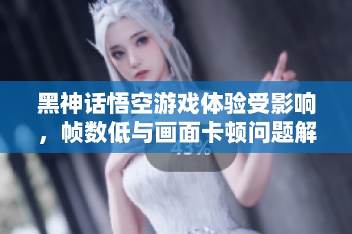 黑神话悟空游戏体验受影响，帧数低与画面卡顿问题解析