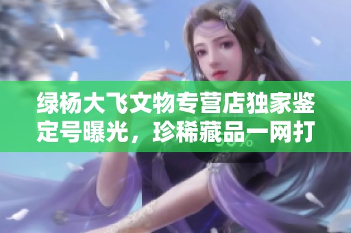 绿杨大飞文物专营店独家鉴定号曝光，珍稀藏品一网打尽
