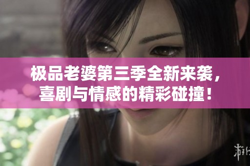 极品老婆第三季全新来袭，喜剧与情感的精彩碰撞！
