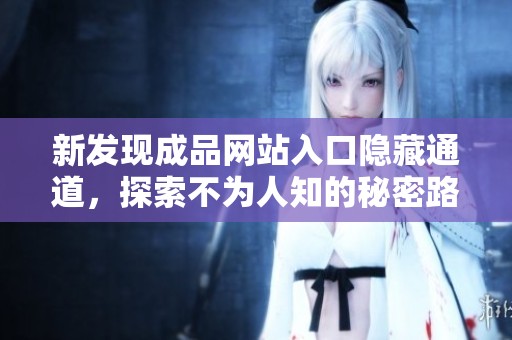 新发现成品网站入口隐藏通道，探索不为人知的秘密路径