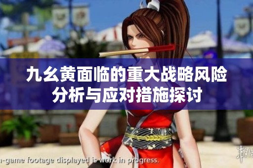 九幺黄面临的重大战略风险分析与应对措施探讨