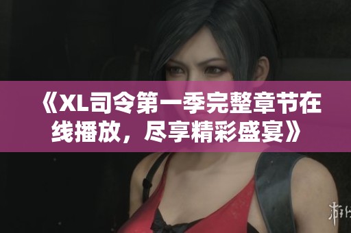 《XL司令第一季完整章节在线播放，尽享精彩盛宴》