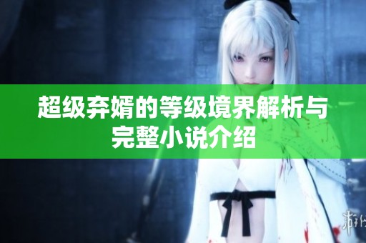 超级弃婿的等级境界解析与完整小说介绍