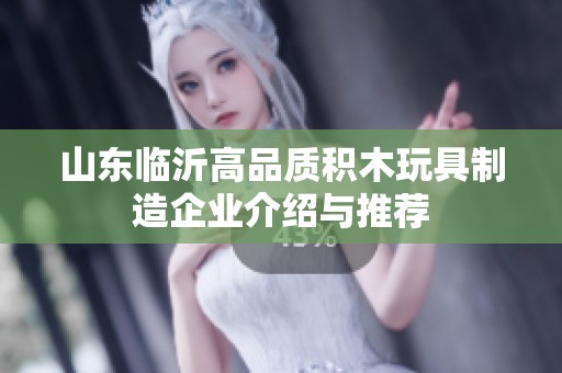 山东临沂高品质积木玩具制造企业介绍与推荐