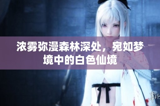 浓雾弥漫森林深处，宛如梦境中的白色仙境