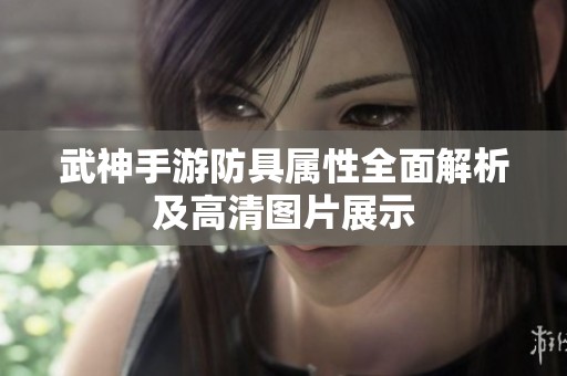 武神手游防具属性全面解析及高清图片展示