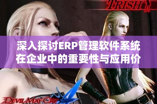 深入探讨ERP管理软件系统在企业中的重要性与应用价值