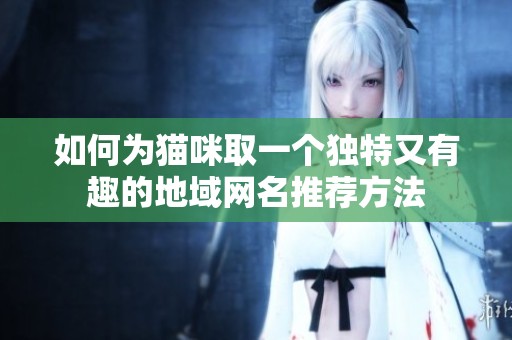 如何为猫咪取一个独特又有趣的地域网名推荐方法