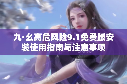 九·幺高危风险9.1免费版安装使用指南与注意事项
