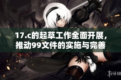 17.c的起草工作全面开展，推动99文件的实施与完善