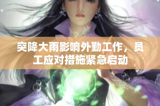 突降大雨影响外勤工作，员工应对措施紧急启动