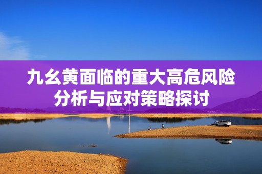 九幺黄面临的重大高危风险分析与应对策略探讨