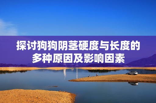 探讨狗狗阴茎硬度与长度的多种原因及影响因素