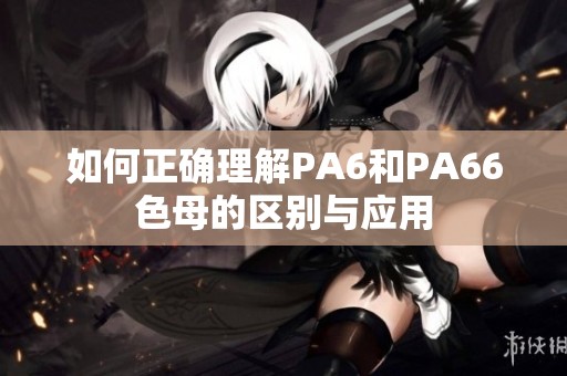 如何正确理解PA6和PA66色母的区别与应用