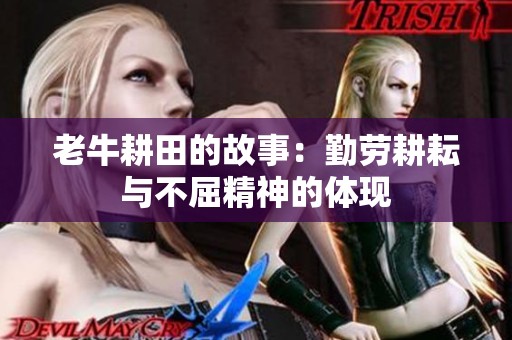 老牛耕田的故事：勤劳耕耘与不屈精神的体现