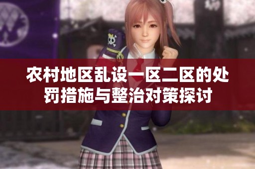 农村地区乱设一区二区的处罚措施与整治对策探讨