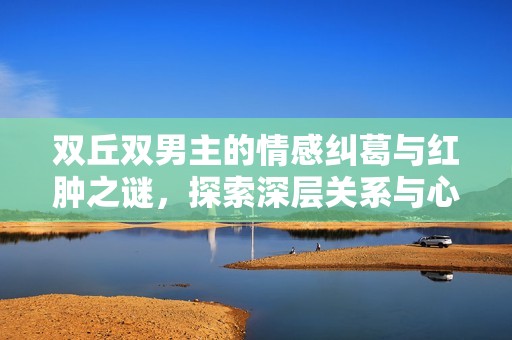 双丘双男主的情感纠葛与红肿之谜，探索深层关系与心灵碰撞