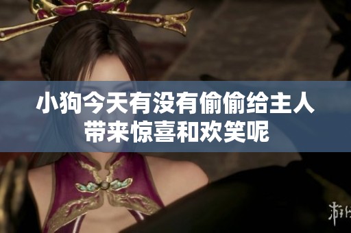 小狗今天有没有偷偷给主人带来惊喜和欢笑呢