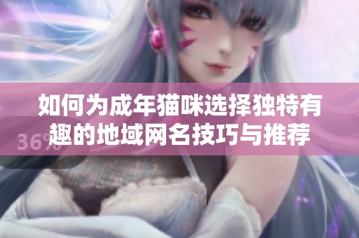 如何为成年猫咪选择独特有趣的地域网名技巧与推荐