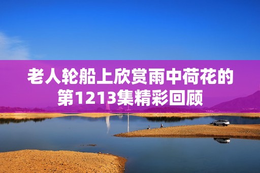 老人轮船上欣赏雨中荷花的第1213集精彩回顾