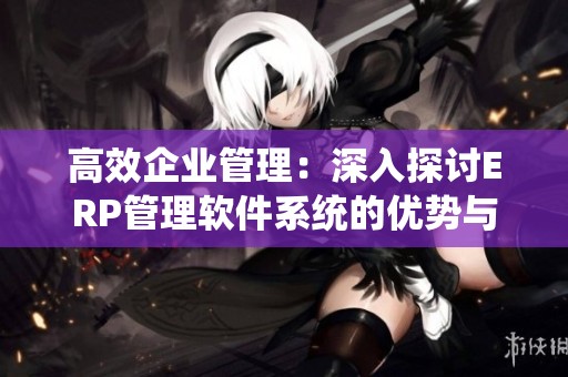 高效企业管理：深入探讨ERP管理软件系统的优势与应用