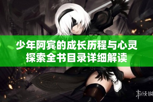 少年阿宾的成长历程与心灵探索全书目录详细解读