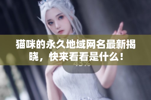 猫咪的永久地域网名最新揭晓，快来看看是什么！