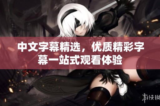 中文字幕精选，优质精彩字幕一站式观看体验