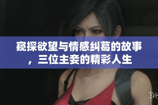 窥探欲望与情感纠葛的故事，三位主妾的精彩人生