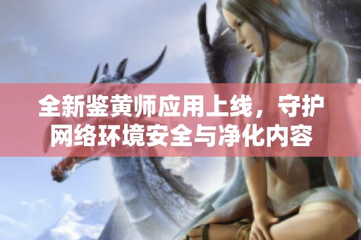 全新鉴黄师应用上线，守护网络环境安全与净化内容