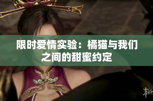 限时爱情实验：橘猫与我们之间的甜蜜约定