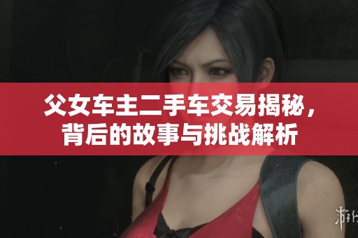 父女车主二手车交易揭秘，背后的故事与挑战解析