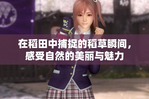 在稻田中捕捉的稻草瞬间，感受自然的美丽与魅力