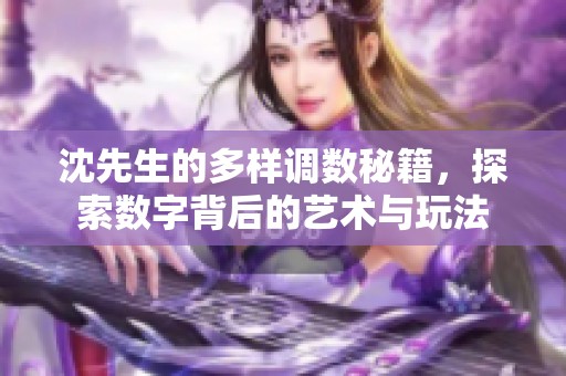 沈先生的多样调数秘籍，探索数字背后的艺术与玩法