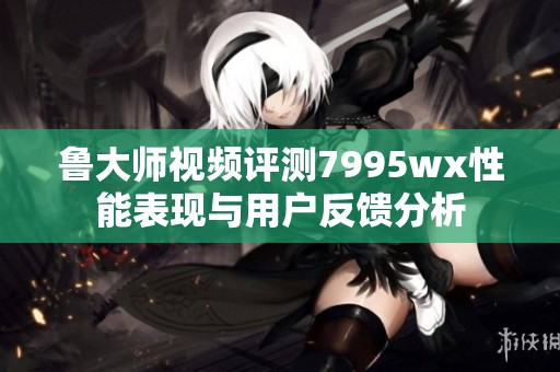 鲁大师视频评测7995wx性能表现与用户反馈分析