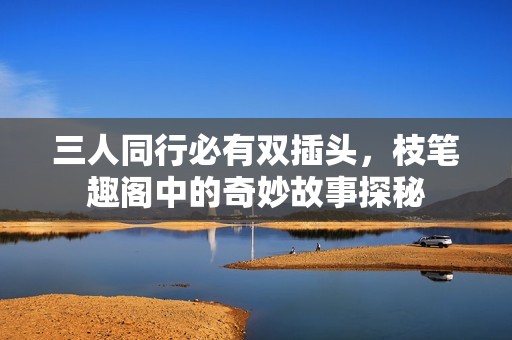 三人同行必有双插头，枝笔趣阁中的奇妙故事探秘