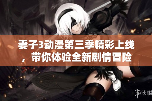 妻子3动漫第三季精彩上线，带你体验全新剧情冒险