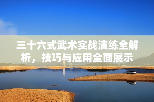 三十六式武术实战演练全解析，技巧与应用全面展示