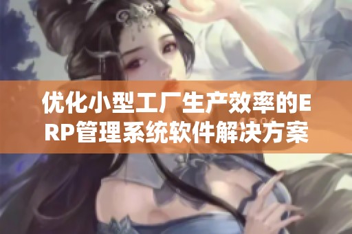 优化小型工厂生产效率的ERP管理系统软件解决方案