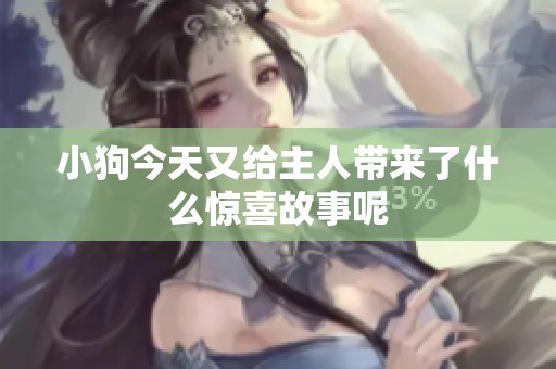 小狗今天又给主人带来了什么惊喜故事呢