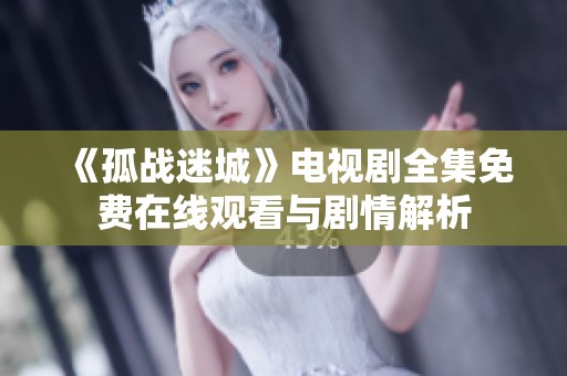 《孤战迷城》电视剧全集免费在线观看与剧情解析