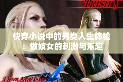 快穿小说中的另类人生体验：做妓女的刺激与乐趣