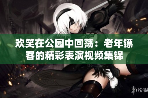 欢笑在公园中回荡：老年镖客的精彩表演视频集锦